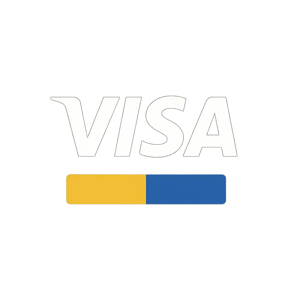 Visa icon